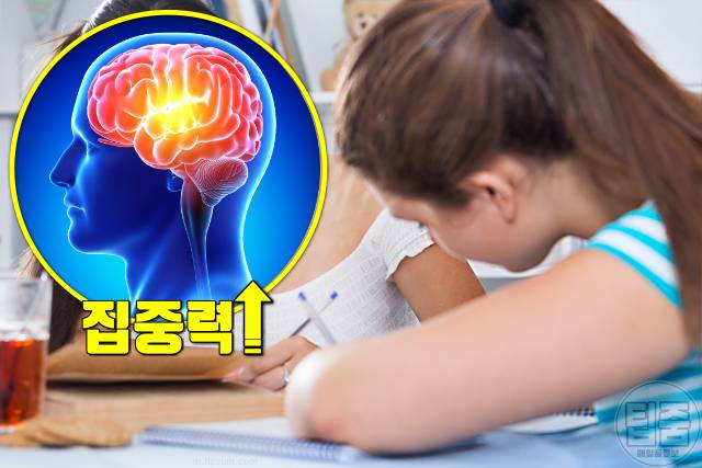 홍삼 효능 집중력 사고력 홍삼 먹으면 안되는 사람 홍삼부작용