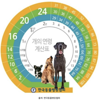 강아지 나이계산방법(1)