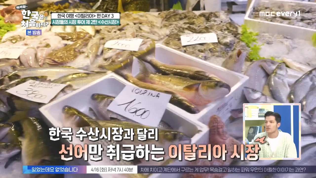 어서와 한국은 처음이지 시즌2.E309.240412p-NEXT.mp4_20240412_202452.648.jpg