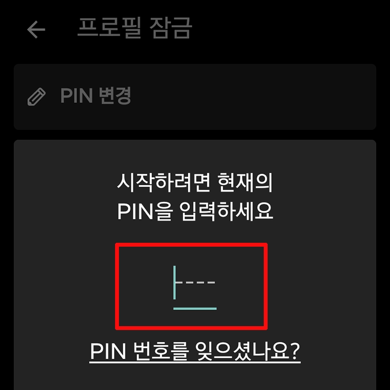 PIN-입력