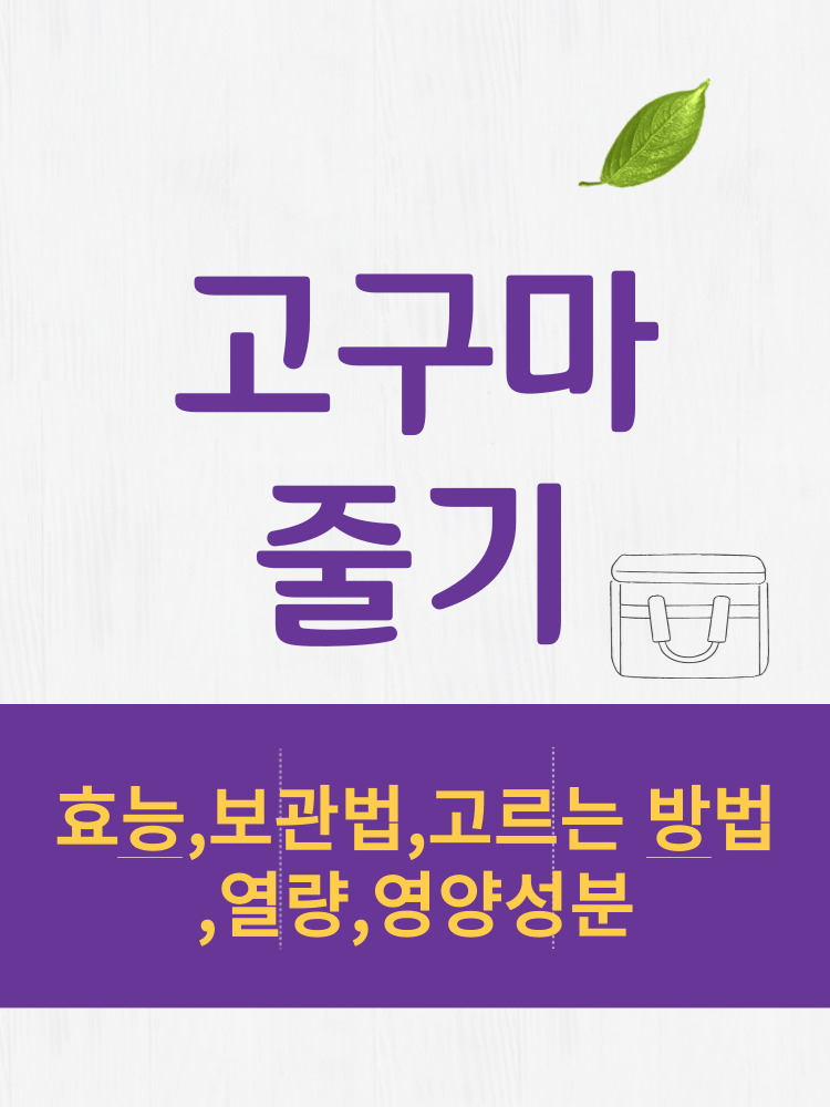  고구마줄기 효능 및 열량과 보관법 칼로리 총정리 
