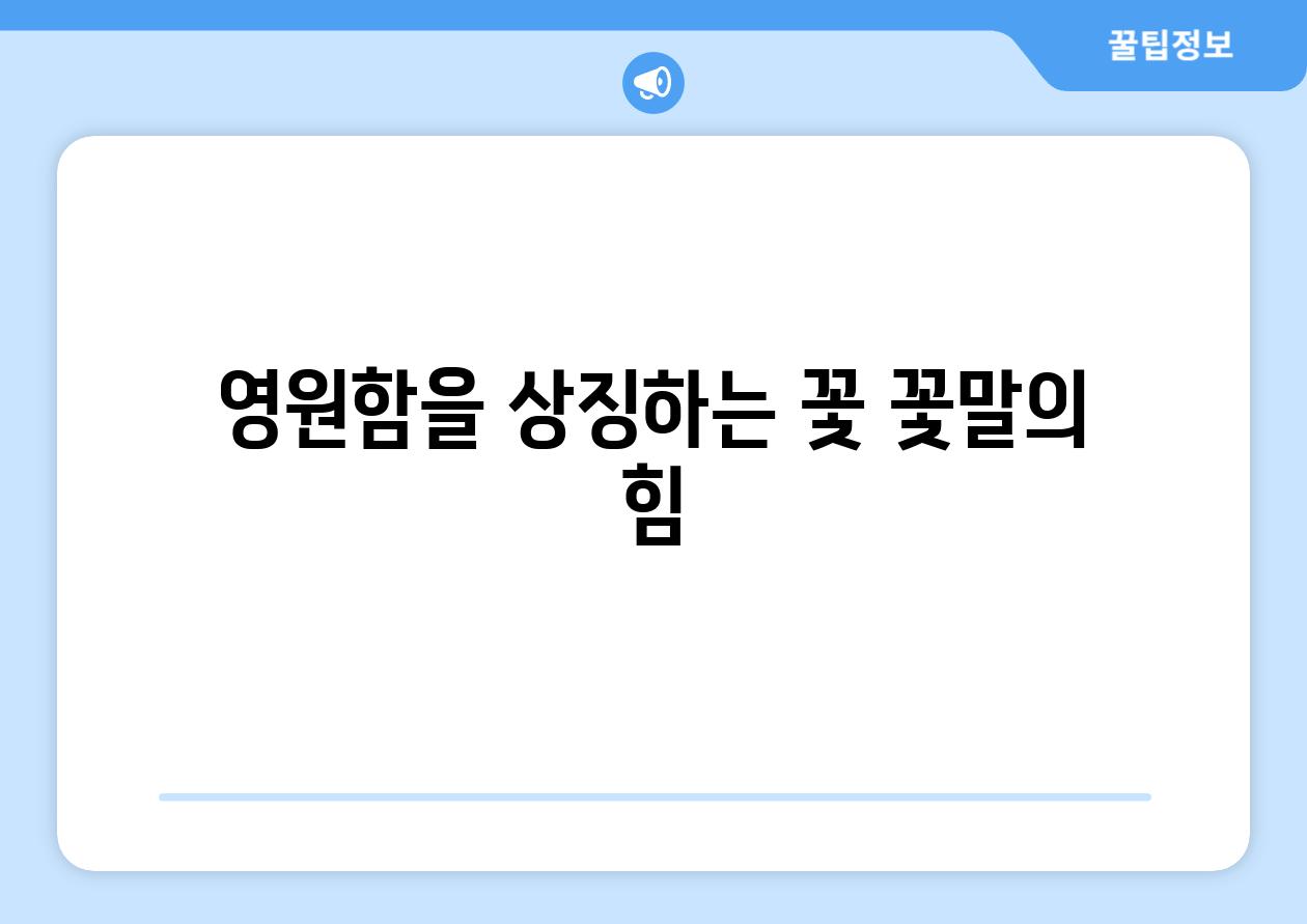 영원함을 상징하는 꽃 꽃말의 힘