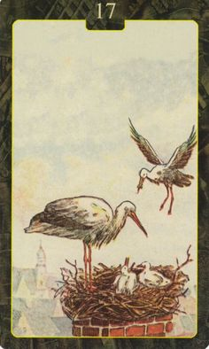  [레노먼드카드배우기]17.Stork 황새 해석 및 의미