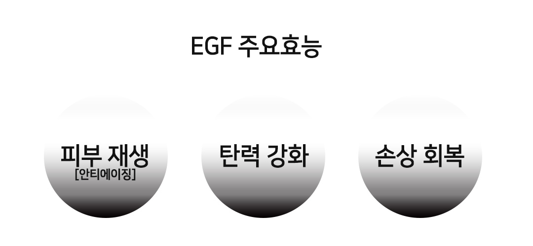 egf 주요 효능