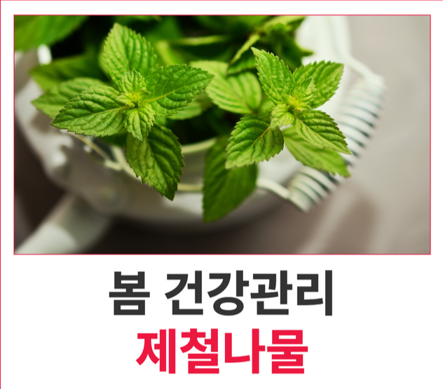 봄 건강 관리 제철 나물