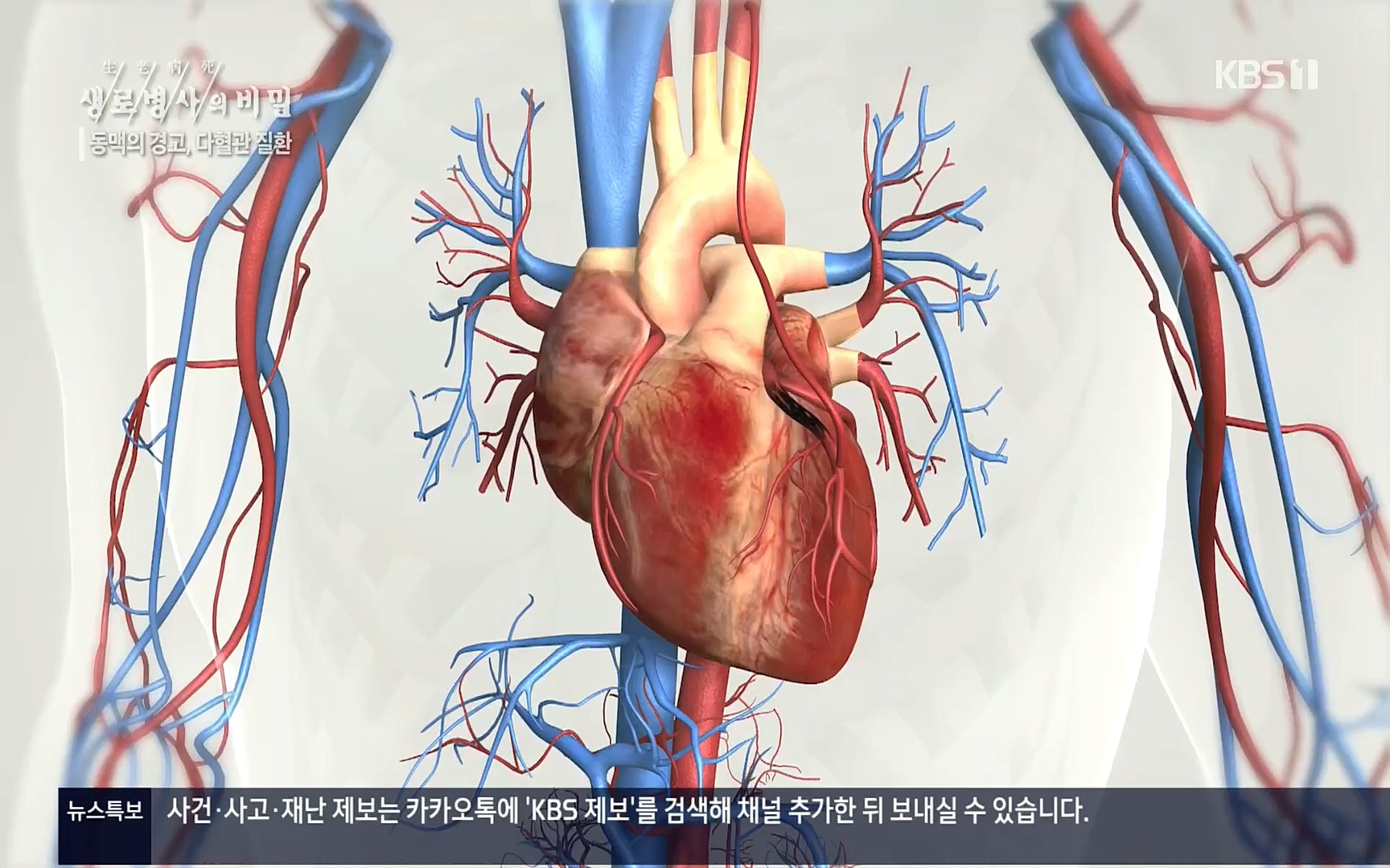 생로병사의 비밀.E831.220817p.H264-F1RST.mp4_20220822_185314.031.jpg