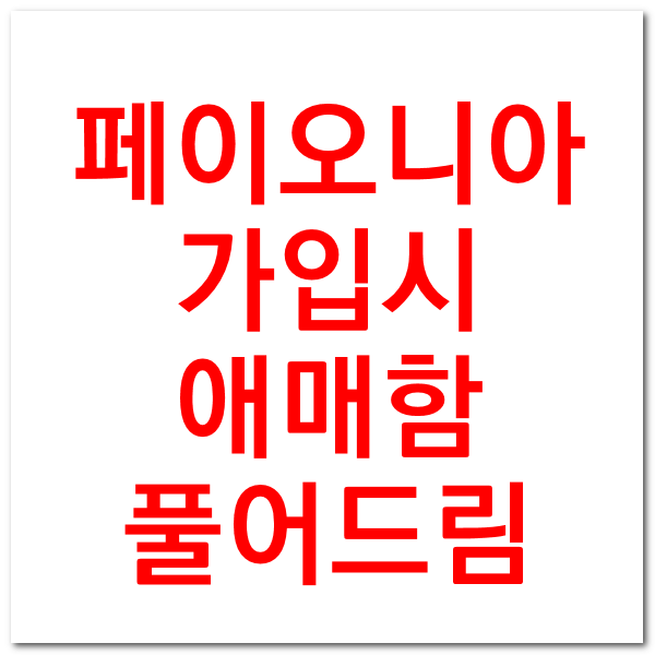  페이오니아 공인대리인 항목 작성법