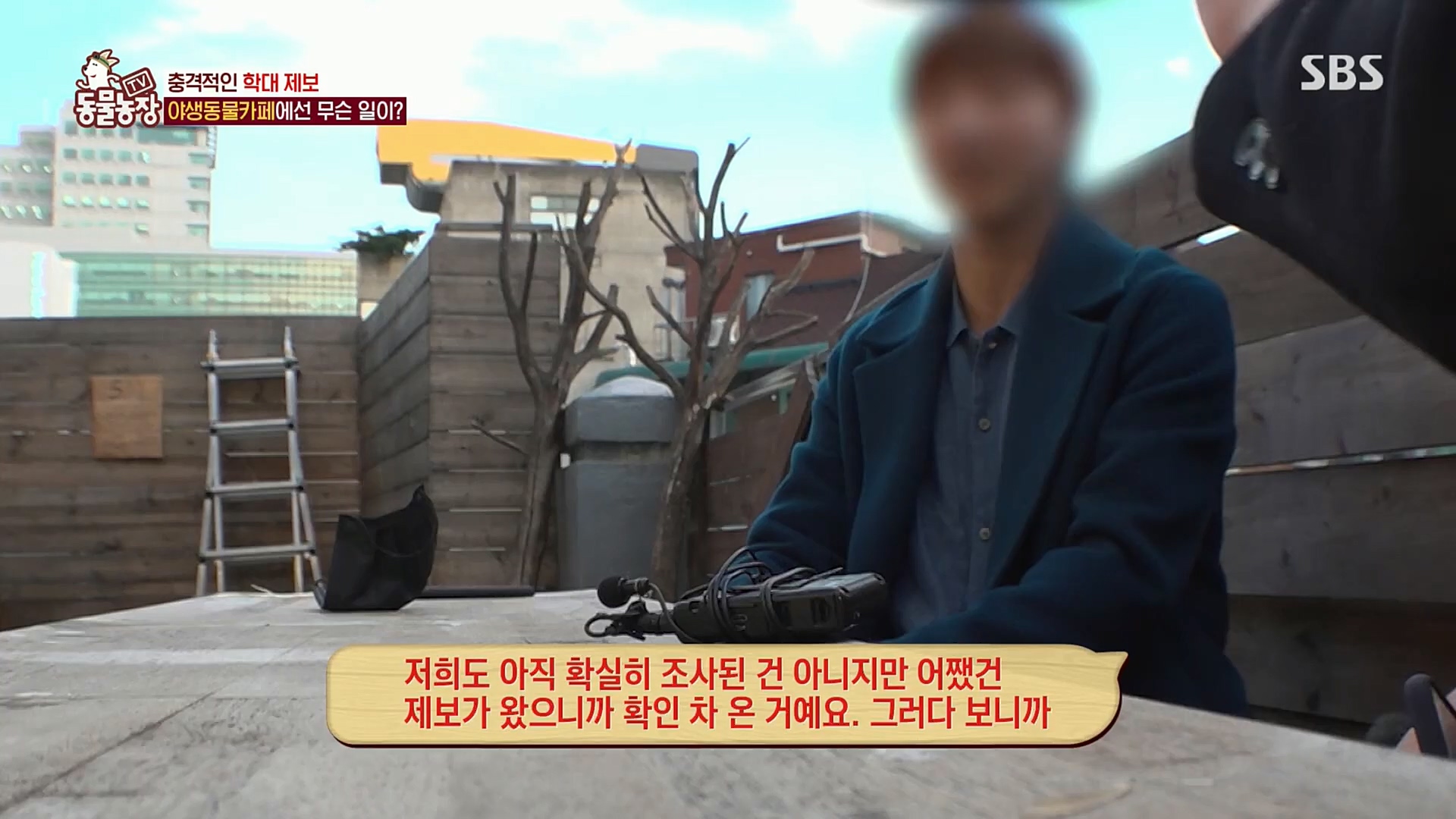 TV 동물농장.E1097.221127p.H264-F1RST.mp4_20221127_181707.102.jpg
