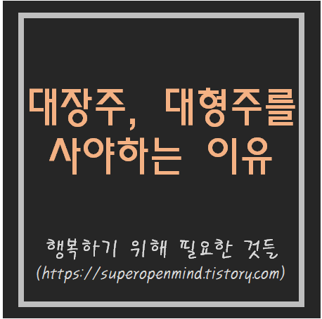  대장주, 대형주를 사야만 하는 이유