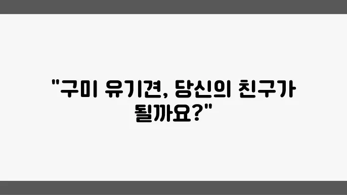 구미유기견보호소 입양 현황