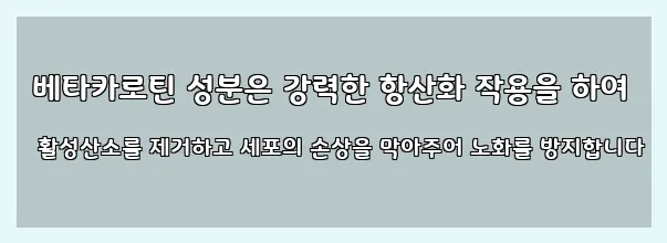  베타카로틴 성분은 강력한 항산화 작용을 하여 활성산소를 제거하고 세포의 손상을 막아주어 노화를 방지합니다