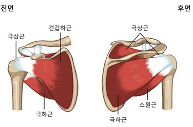 회전근개