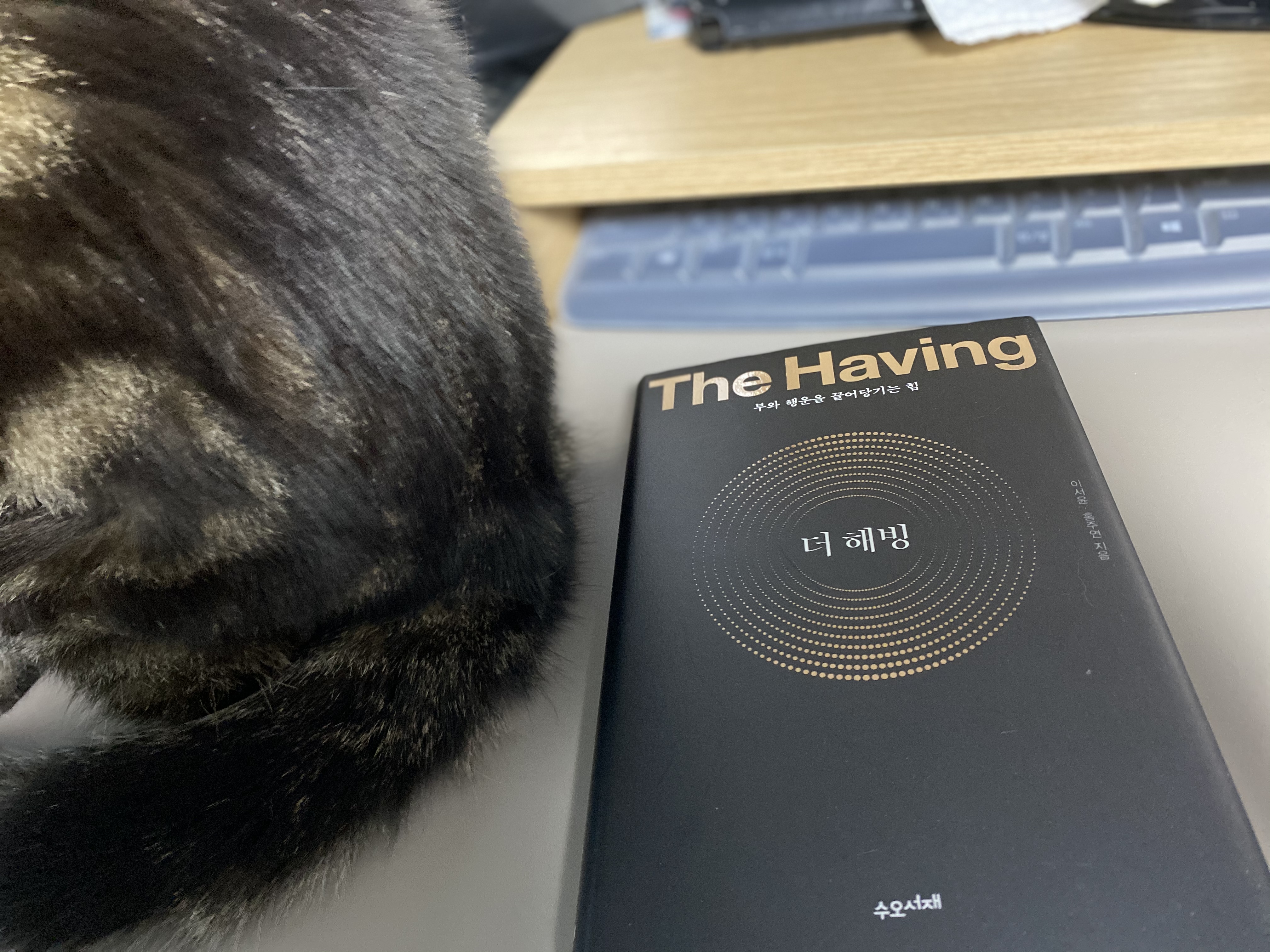  The Having (더 해빙) - 행운을 끌어당기는 힘
