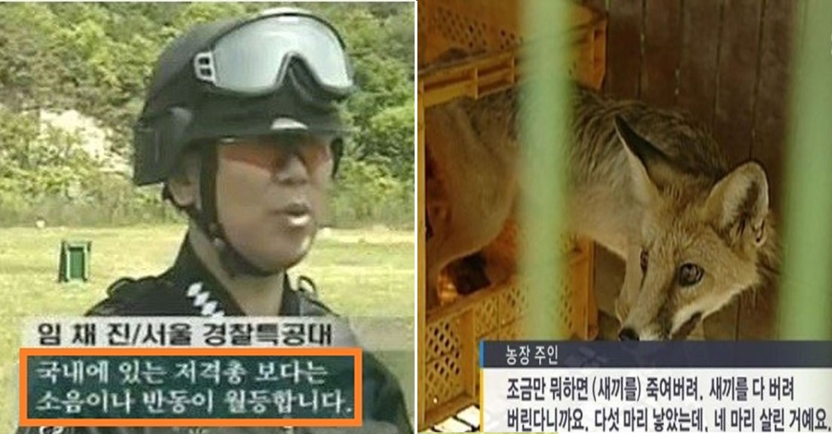  대한민국 어둠의 장인 레전드 2대장