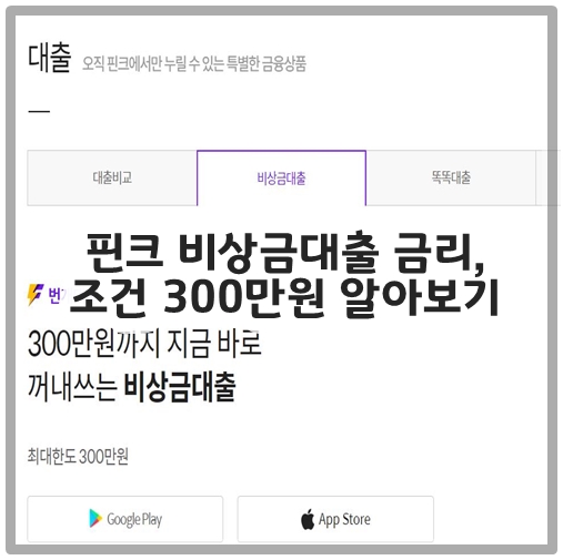 핀크 비상금대출 금리&#44; 조건 300만원 알아보기