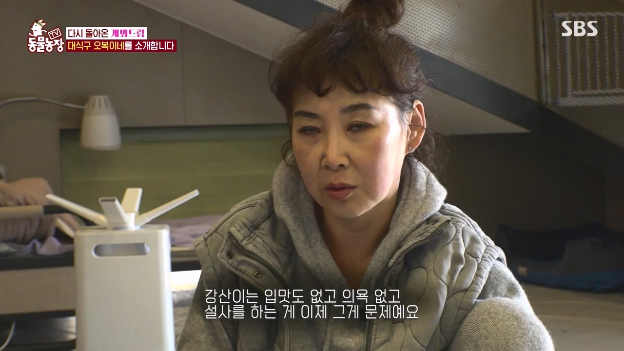 TV 동물농장.E1147.231127p-NEXT.mp4_20231126_170352.810.jpg