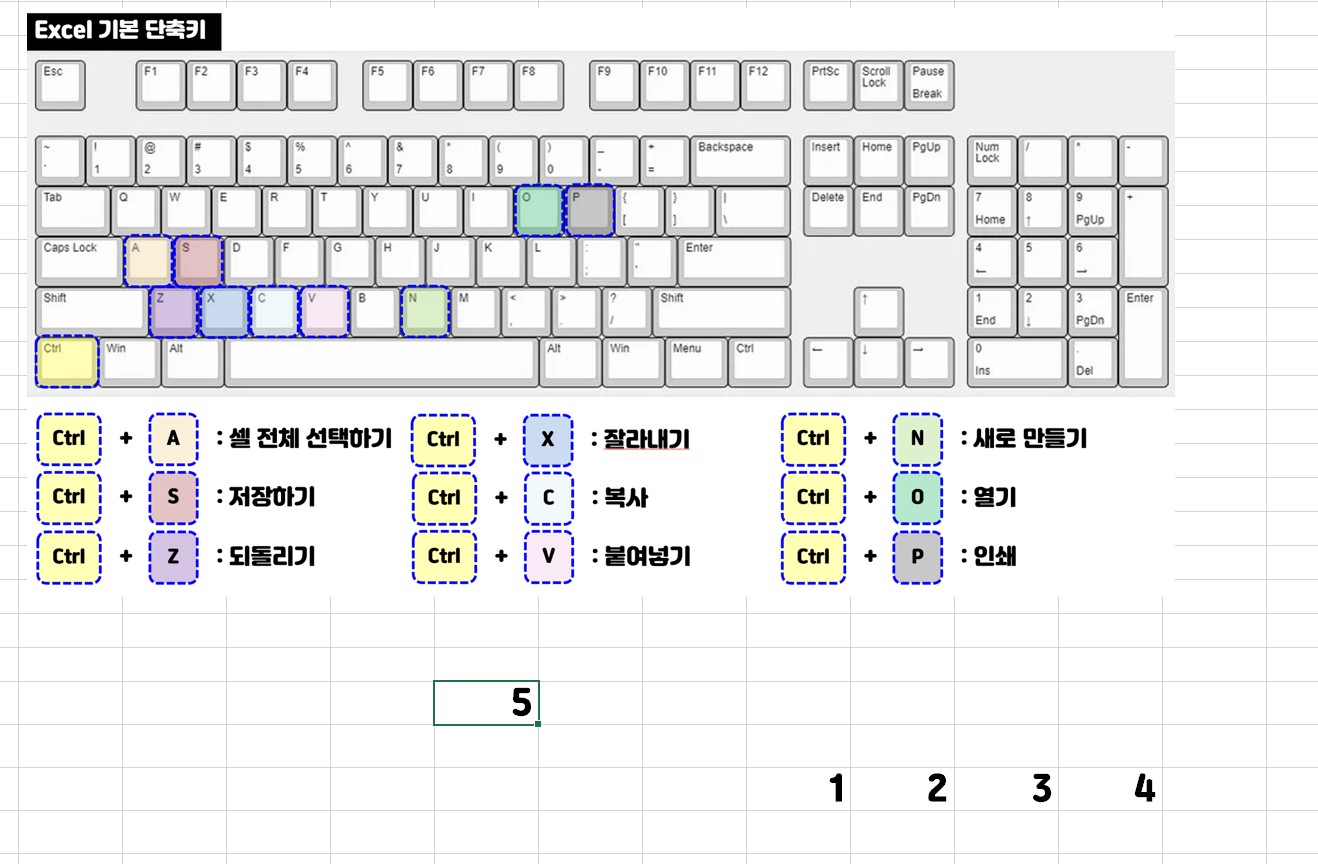 엑셀 단축키 모음 - 사용시 화면
