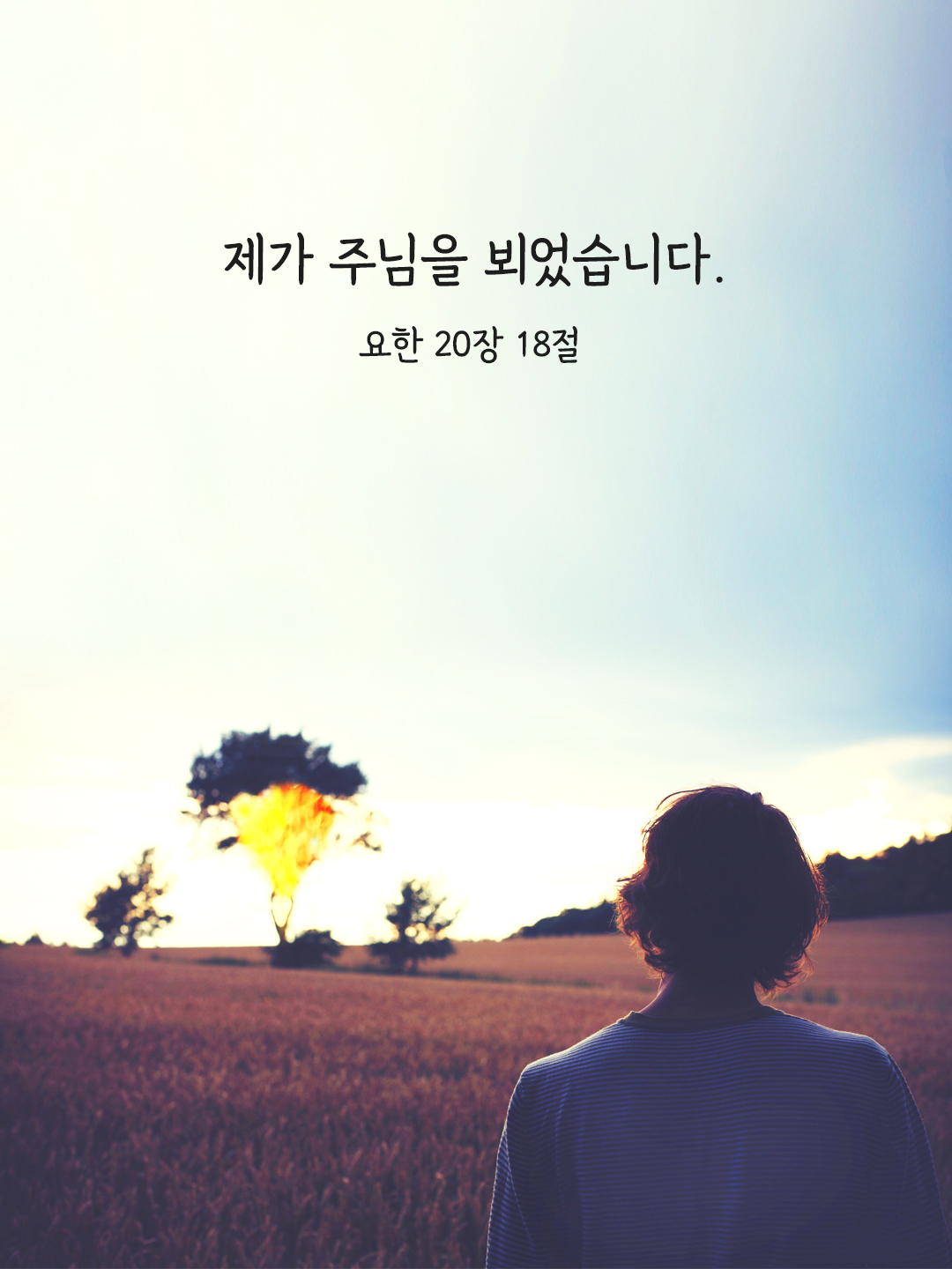 제가 주님을 뵈었습니다. (요한 20&#44;18)