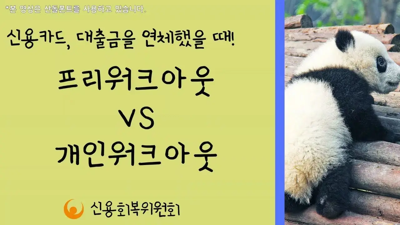 채무 해결의 비밀