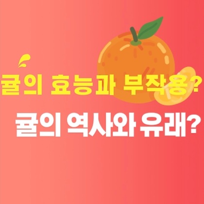 귤 효능 부작용??