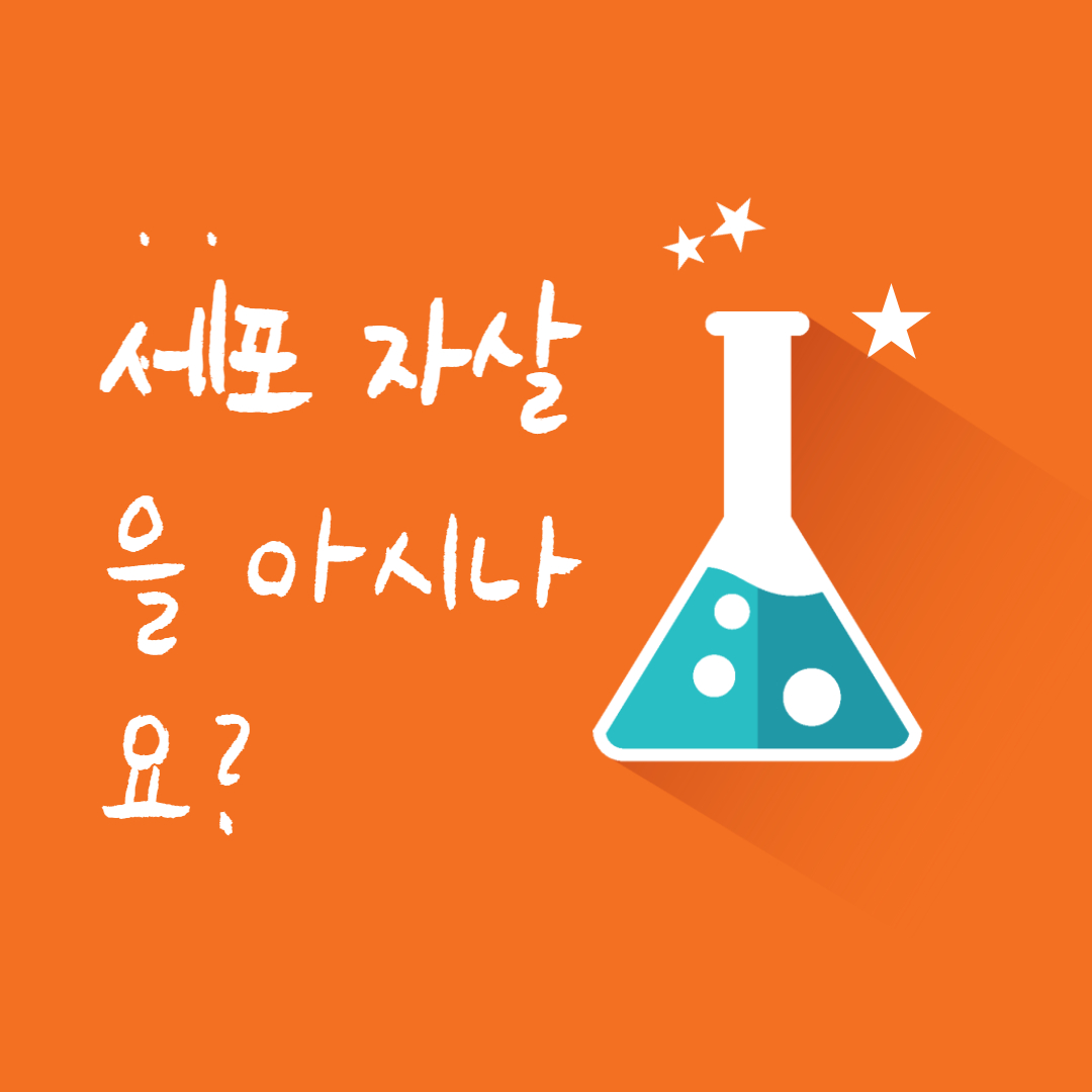  세포 자살을 들어보셨나요?