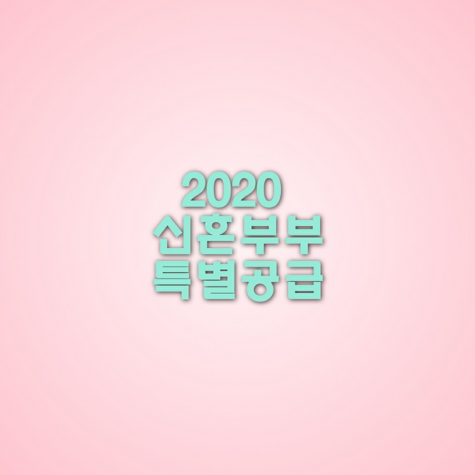  2020 신혼부부 특별공급 제대로 알기
