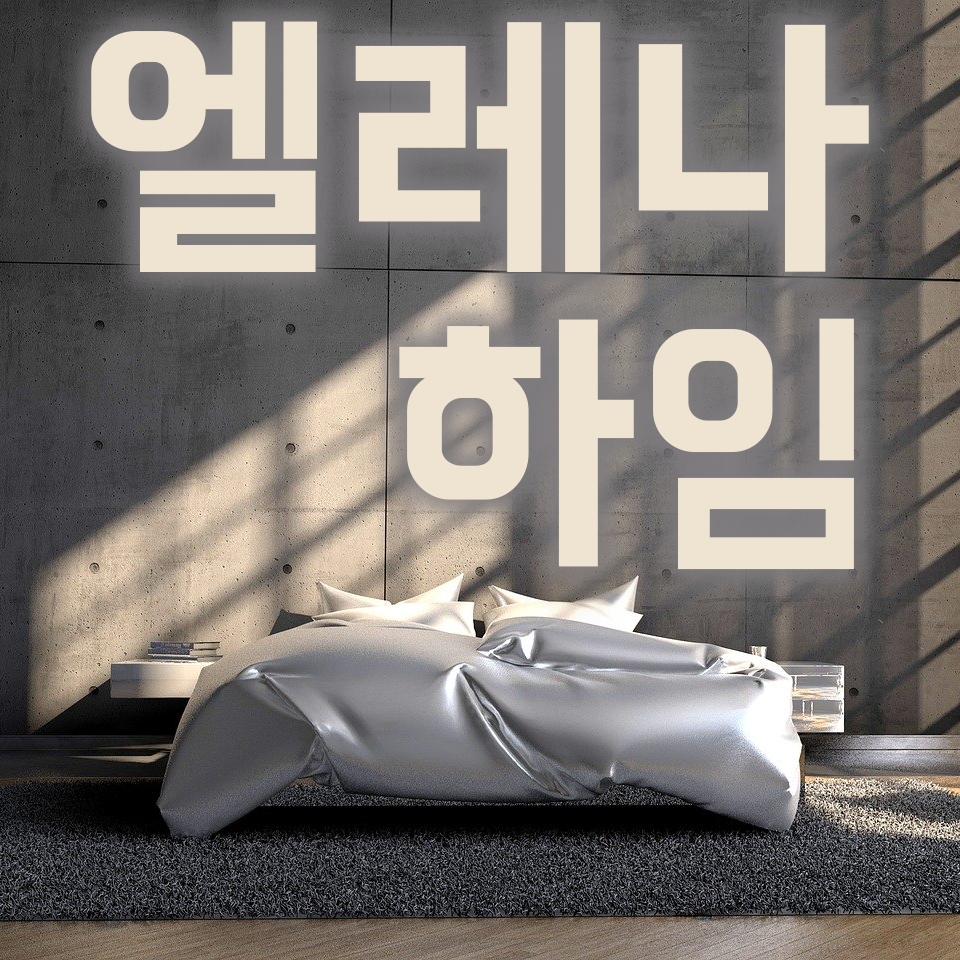  엘레나하임, 어떤 회사 일까?(침구류 구매 시 참조)