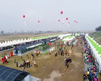 논산딸기축제_32