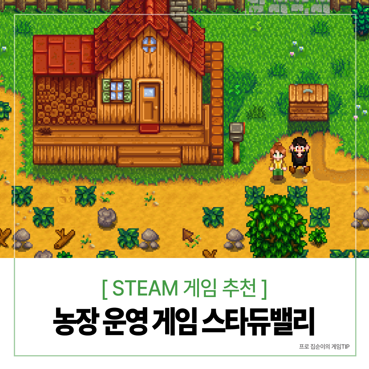  [스팀 게임 추천] 힐링 농장 운영 게임 스타듀밸리