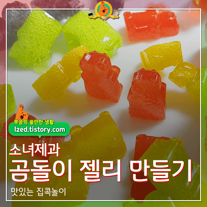  DIY 곰돌이 젤리 만들기 키트 후기 <내돈내산 리뷰>