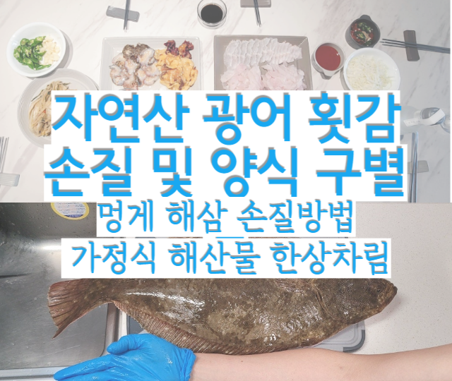  해삼, 멍게, 자연산 광어 횟감 손질 방법 및 자연산과 양식 차이 구별 방법 (해산물 홈파티)