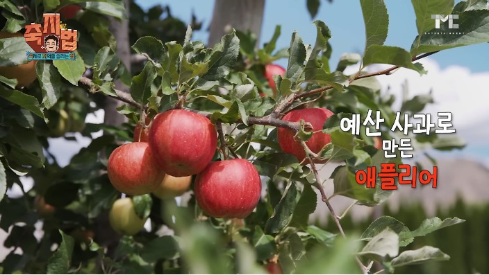 예산맥주페스티벌