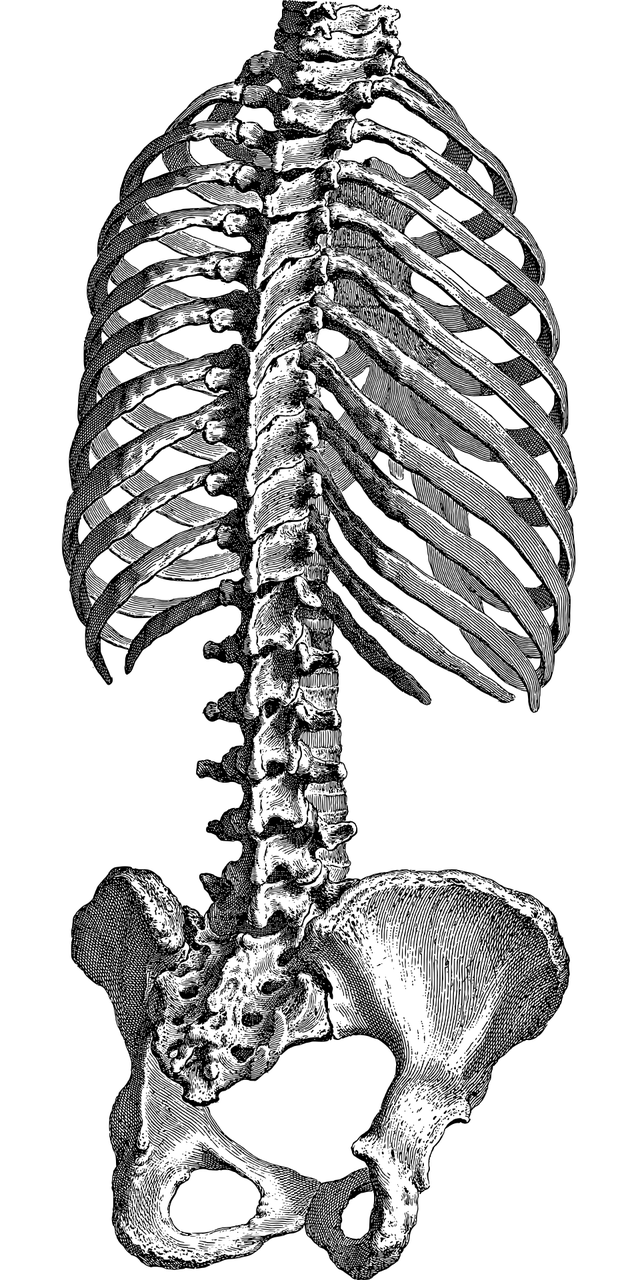 꼬리뼈 통증