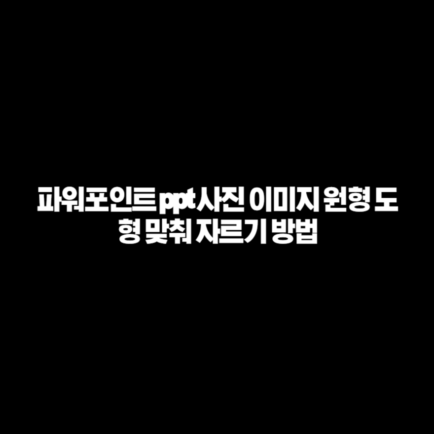 파워포인트 ppt 사진 이미지 원형 도형 맞춰 자르기 방법 파워포인트 ppt 사진 이미지 원형 도형 맞춰 자르기 방법