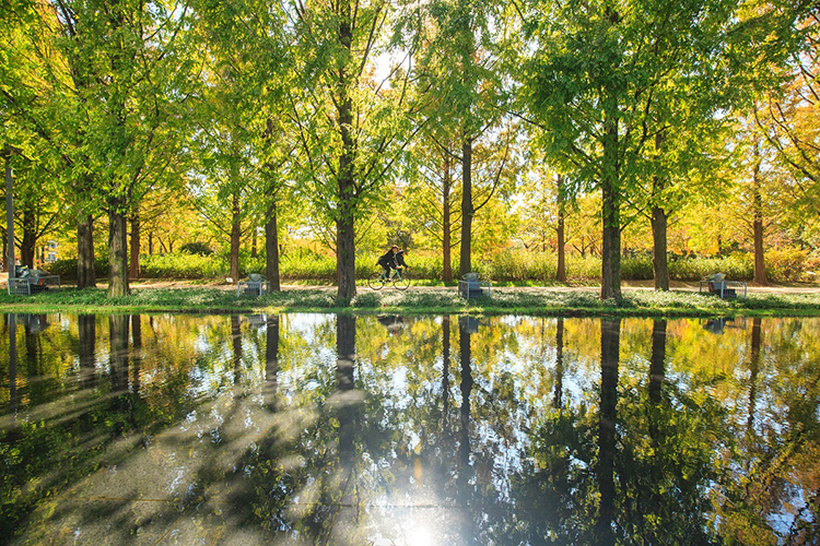 서울숲-거울연못