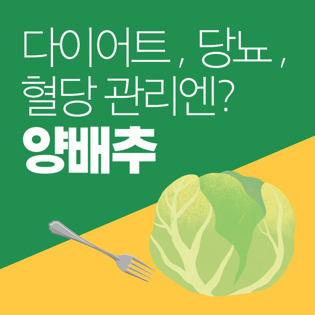  다이어트, 당뇨, 혈당 관리를 위한 음식: 양배추 추천