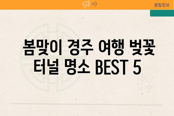  봄맞이 경주 여행 벚꽃 터널 명소 BEST 5