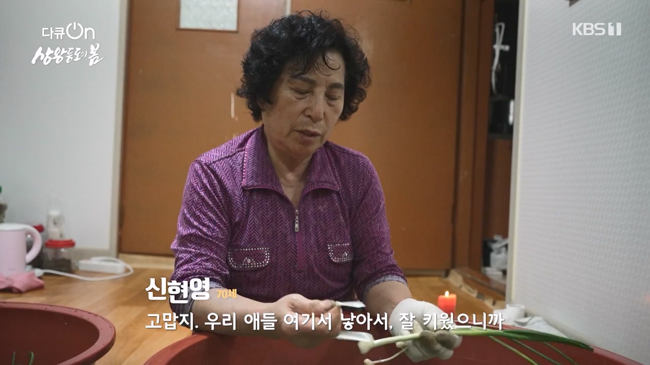 다큐 온.E249.240526p-NEXT.mp4_20240526_152345.464.jpg