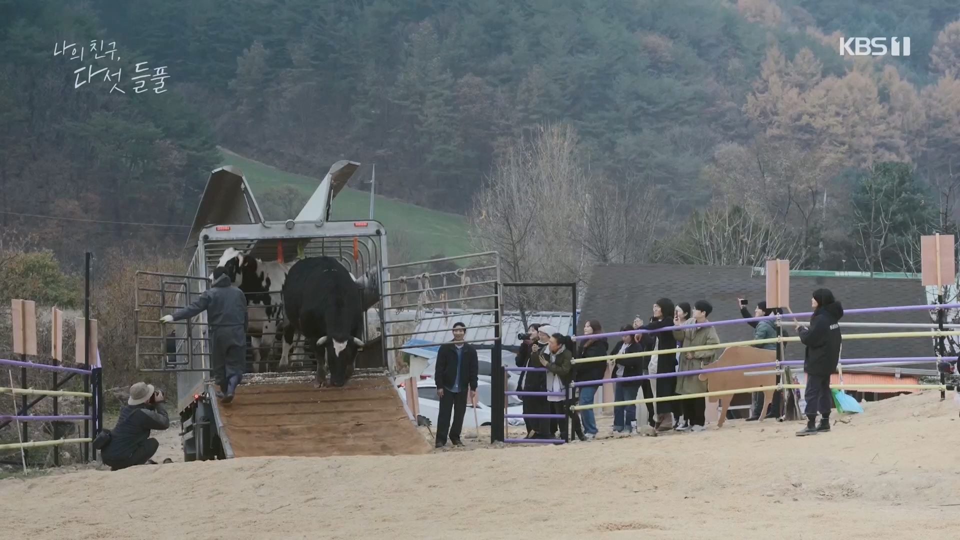 특집 다큐 나의 친구, 다섯 들풀.240119p.H264-F1RST.mp4_20240121_151731.000.jpg