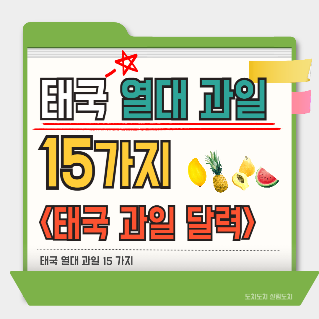 태국 열대 과일 15가지