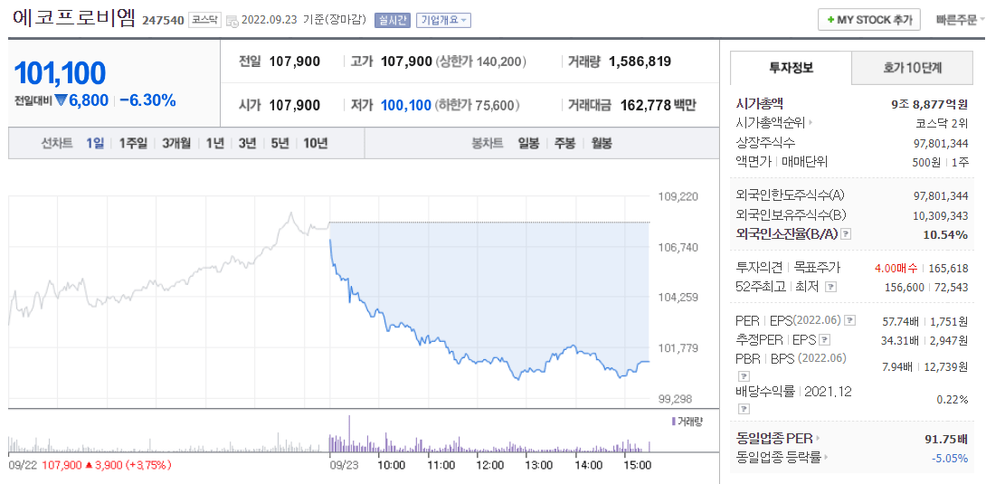  (247540)에코프로비엠 주가 전망 에코프로비엠 주가 하락 이유는?