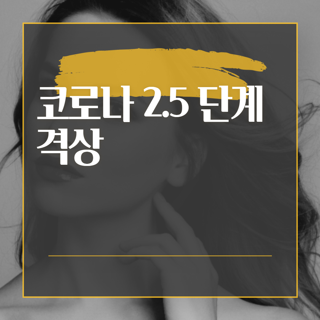  사회적 거리두기 2.5 단계