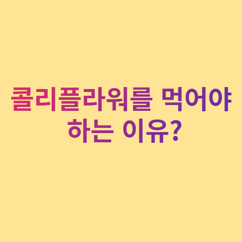  콜리플라워를 먹어야 하는 이유?