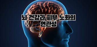 눈주름과 치매의 연관성