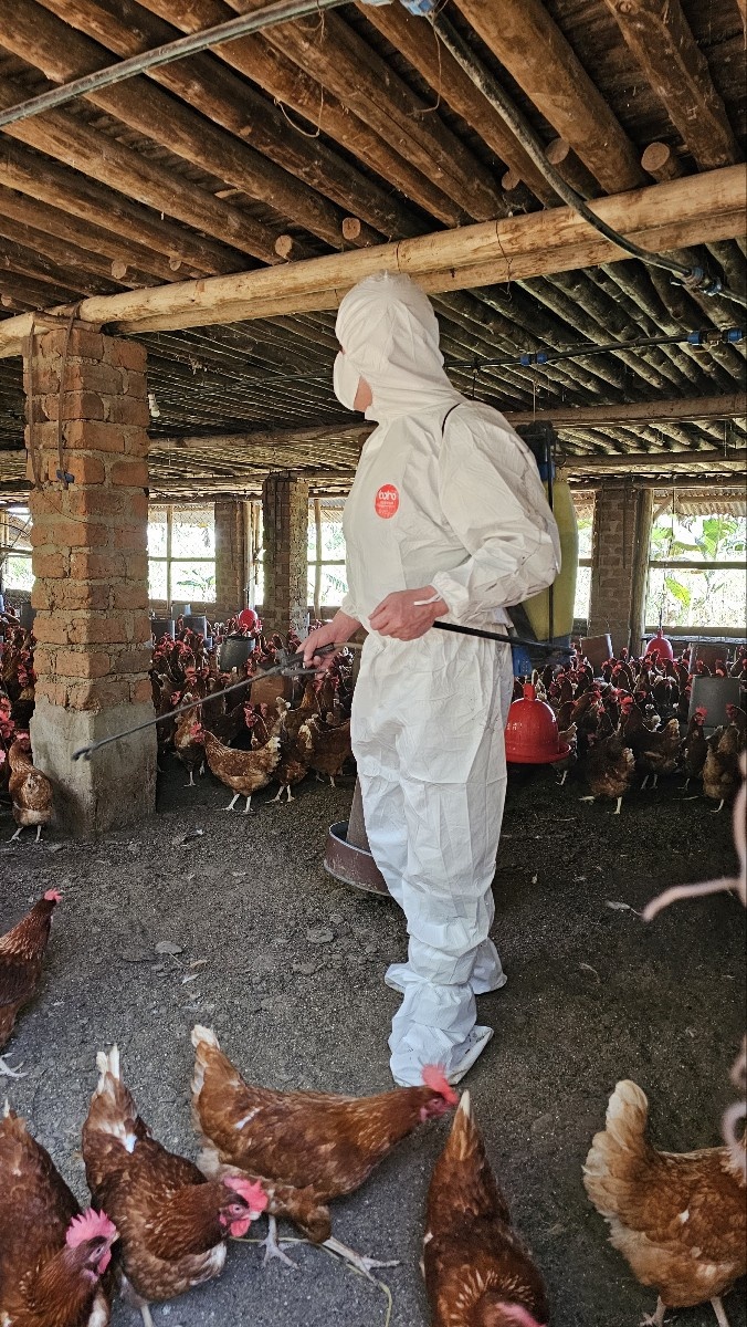 축사내 직접 소독하는 황한솔 대표