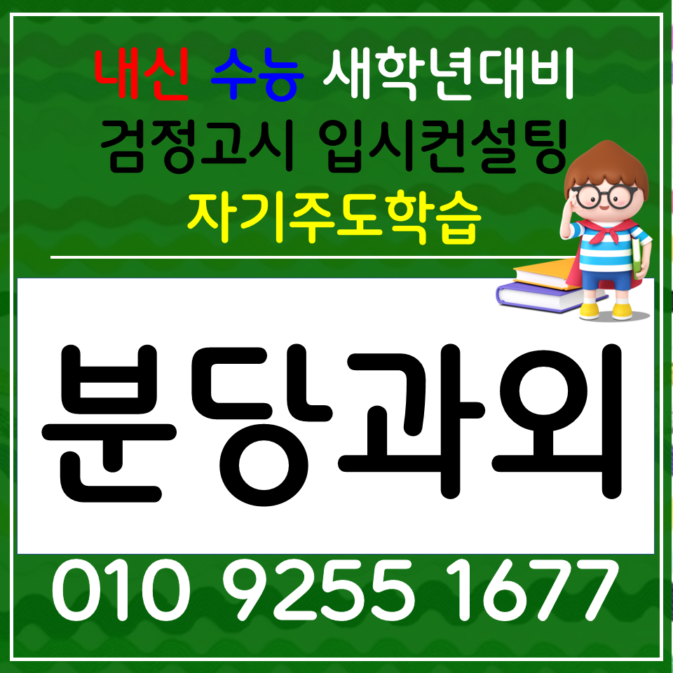  정자동 영어과외 판교동 수학과외 고1 고2 고3 물리 화학 검정고시