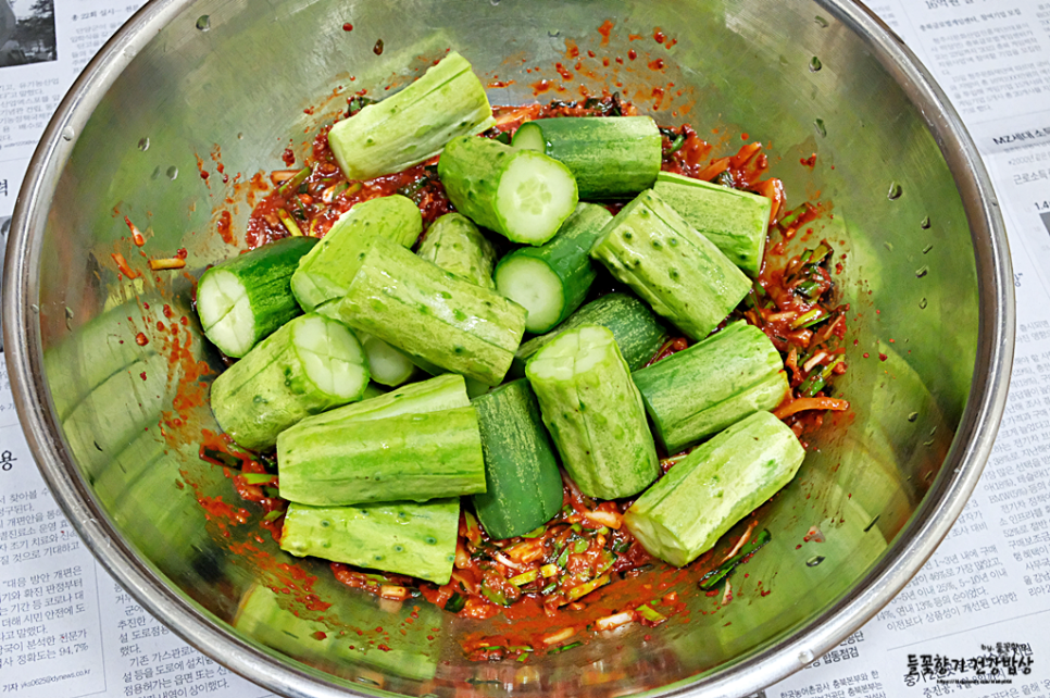 오이 김치 담그는 법 아삭아삭한 부추 오이 김치 담그는 법 14