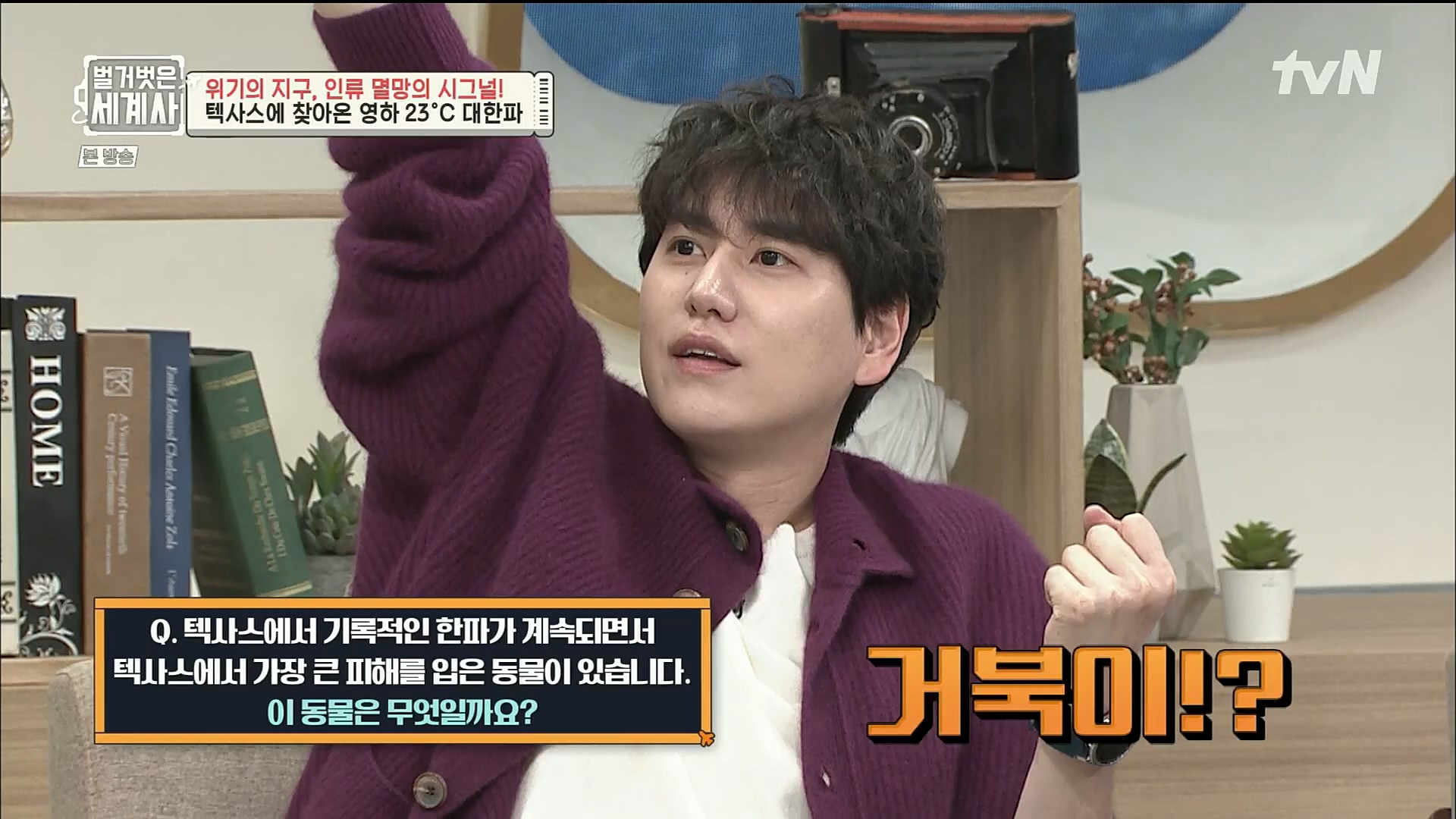 벌거벗은 세계사.E75.221129p.H264-F1RST.mp4_20221211_170957.307.jpg