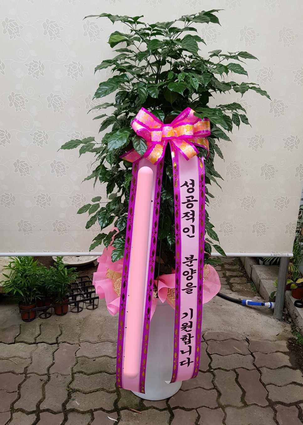 모델하우스 오픈식 3단 축하화환도 수제로 배달하는 당진채운동 꽃집 푸른화원입니다 당진꽃집 당진화분 동부센트레빌 르네블루 모델하우스 개관식에 대형화분 배달 5