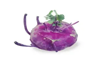 콜라비